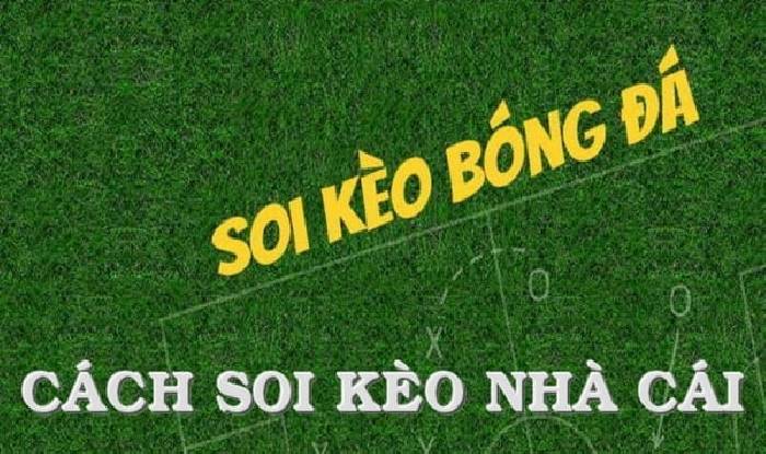 Mẹo cá cược hiệu quả với soi kèo nhà cái