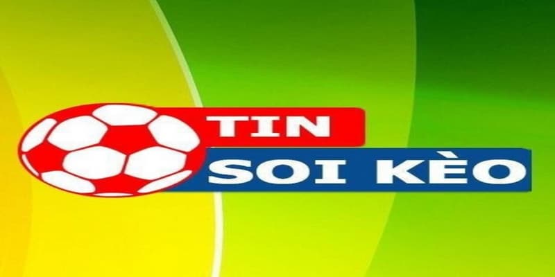 Tin soi kèo vì sao nên theo dõi?