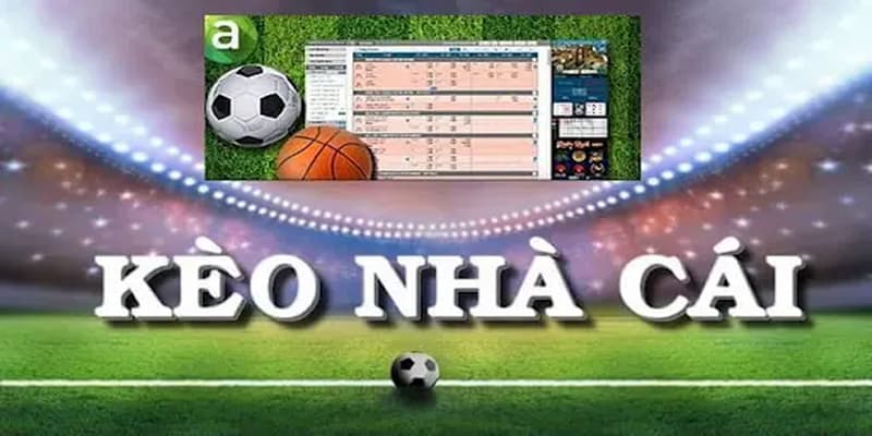 Kèo nhà cái Kèo nhà cái bí quyết soi kèo hiệu quả