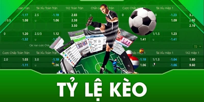 Tỷ lệ kèo Tỷ lệ kèo tầm quan trọng
