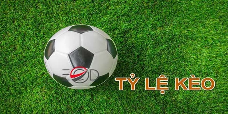 Tỷ lệ kèo Tỷ lệ kèo sai lầm thường gặp khi xem