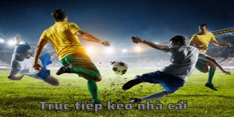 Trực tiếp kèo nhà cái vai trò