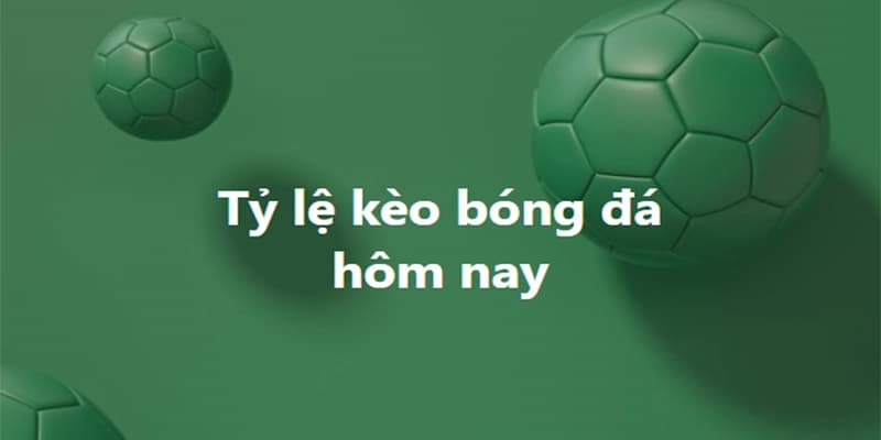 Tỷ lệ kèo bóng đá Tỷ lệ kèo bóng đá đóng vai trò quan trọng